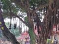 img 20240416